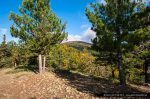 La foresta Ferraina, ai piedi del Montalto. ©Giancarlo Parisi