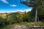 La foresta Ferraina, ai piedi del Montalto. ©Giancarlo Parisi