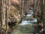 Veduta dal ponte - ©Giancarlo Parisi