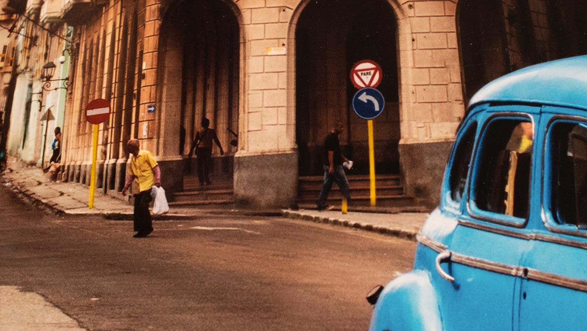 particolare-mccurry-palo