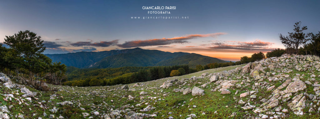 giancarlo-parisi-viaggio-in-aspromonte-fistocchio